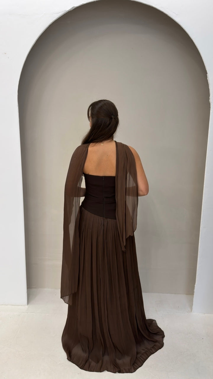Belis brown